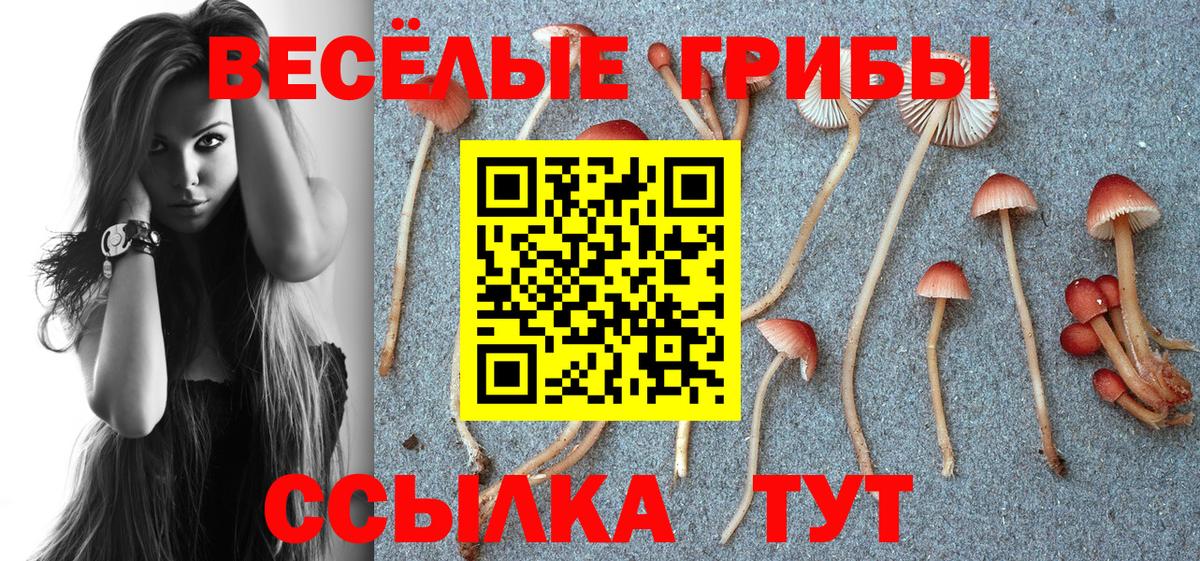 Псилоцибиновые грибы MAGIC MUSHROOMS Кашира