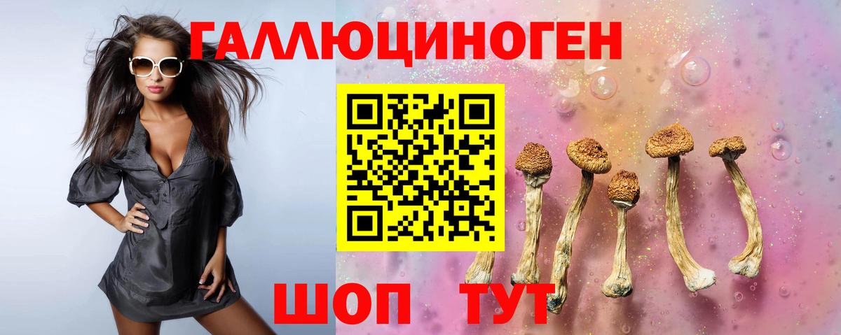 Кашира  Псилоцибиновые грибы Cubensis  Вход с VPN 